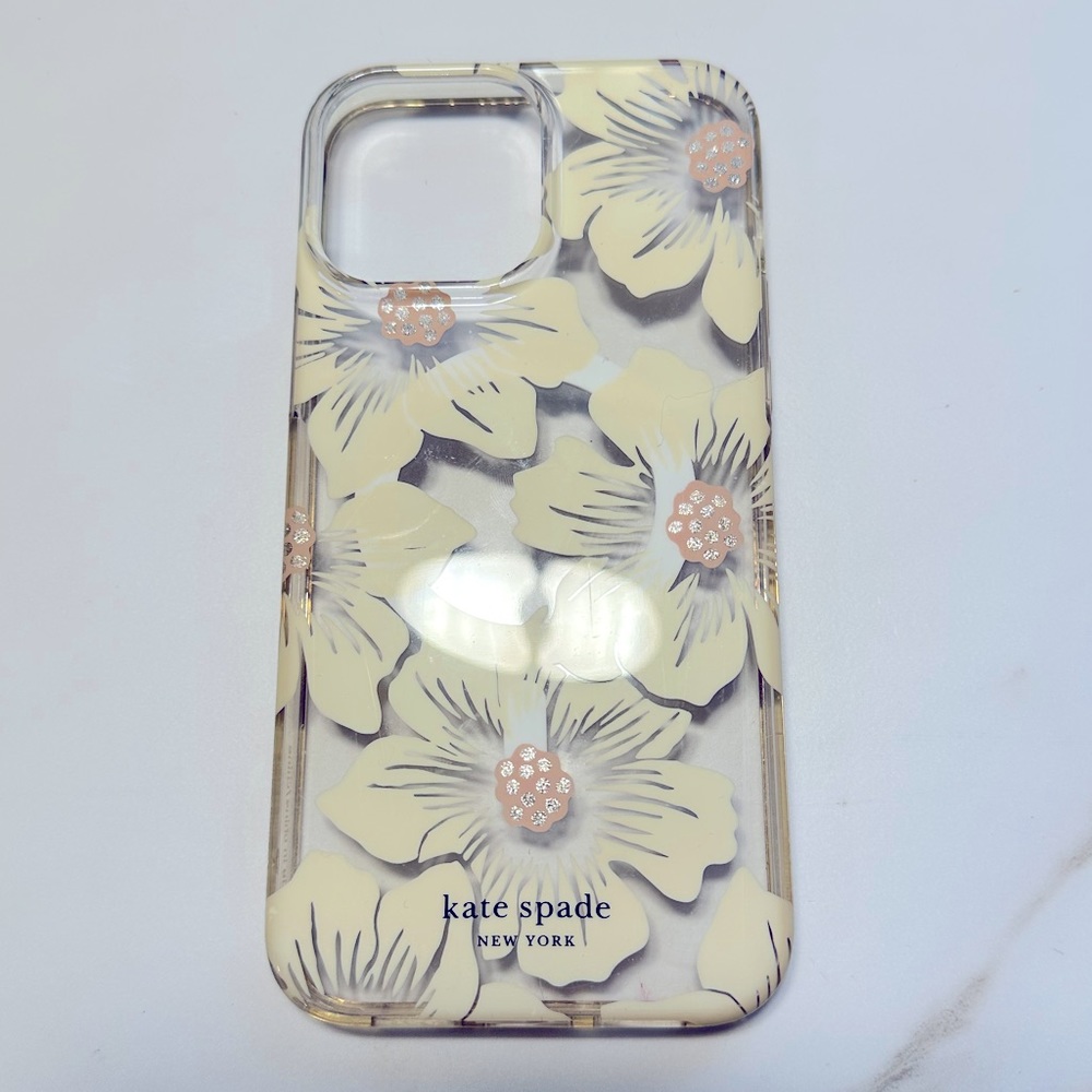 iPhone 13 Pro Max case